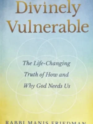 divinie-normal-pro Divinely Vulnerable – Book (Softcover)