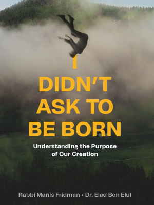 I-didnt-ask-to-be-bornp I Didn’t Ask to Be Born